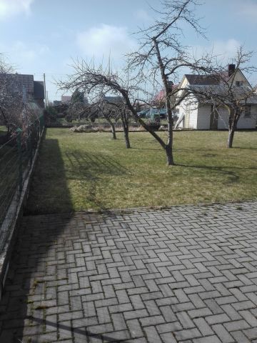 Nuotrauka 4