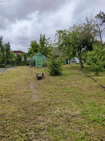 Nuotrauka 5