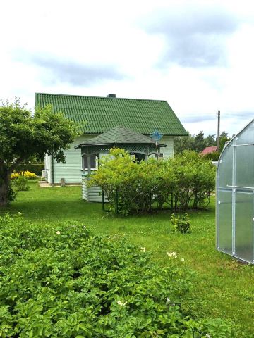 Nuotrauka 2